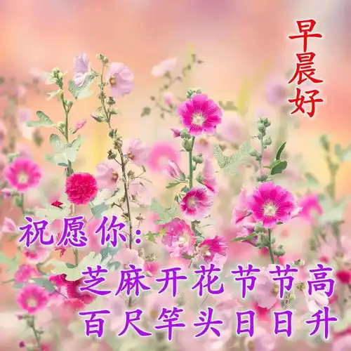 8张秋天最新漂亮风景早安图片带祝福语最美秋日风景早上好问候图片带字温馨
