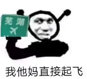 抖音芜湖起飞表情包

