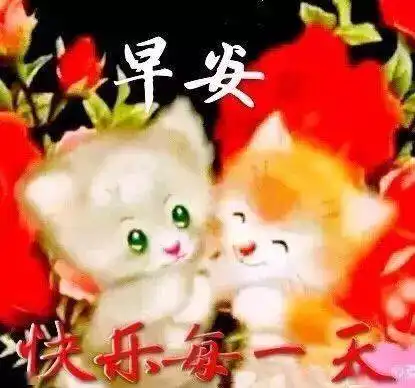 1月24日周末微信群发早上问候表情动态图片,特漂亮的朋友圈早晨表情包
