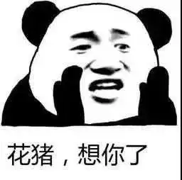 表情包,我在生气耶土味套路情话你想知道么
