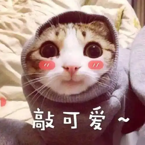 华工里6种不化妆的女生,有你吗
