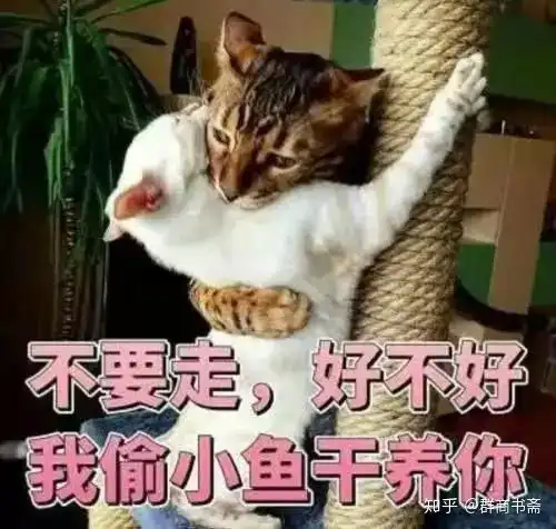 10张撩人的表情包,喜欢的赶紧收藏了
