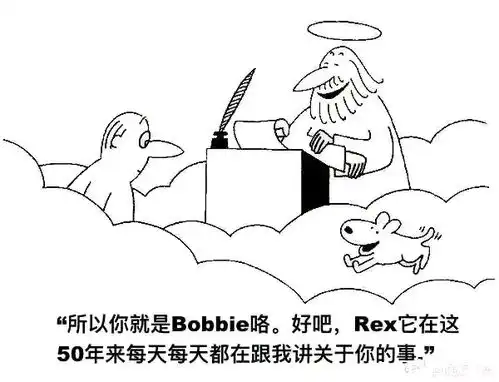 20梗图,沙雕图,memes,天堂笑话,表情包,搞笑图片日更侵删除夕快乐哔哩哔哩
