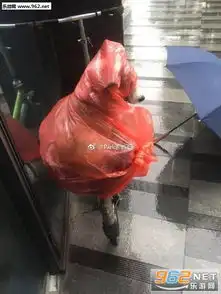 柯基雨衣萌萌表情包穿红色雨衣的柯基狗袋无水印图片下载乐游网游戏下载
