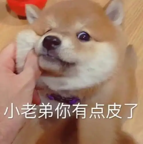 趣味表情包二十九,不太聪明但最可爱
