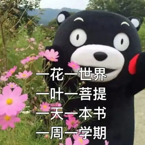 哥伦布发现了新大陆,而你却在翻目录
