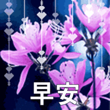 微信早上好祝福语大全朋友圈早上问候语动态图片
