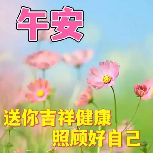 中午好图片大全,午安问候图片,中午好祝福图片带字唯美

