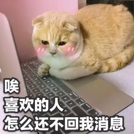 无刘海的845旗舰5.23发360n7外形官宣
