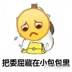关于我做自媒体的这一个月
