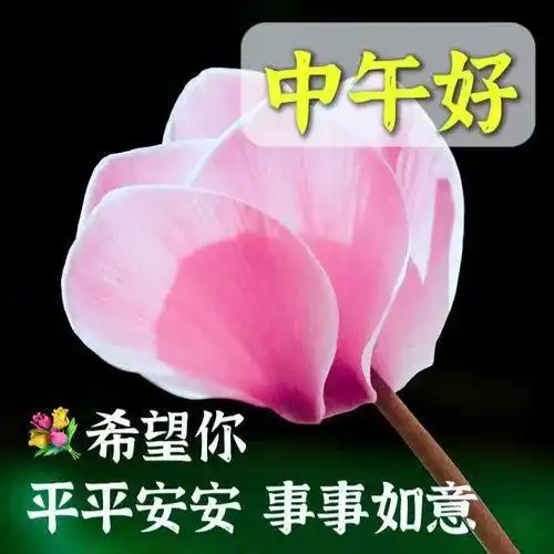 中午好图片大全,中午好温馨祝福,午安最新问候图片
