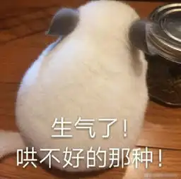 金庸最让你生气或者无语的桥段是什么
