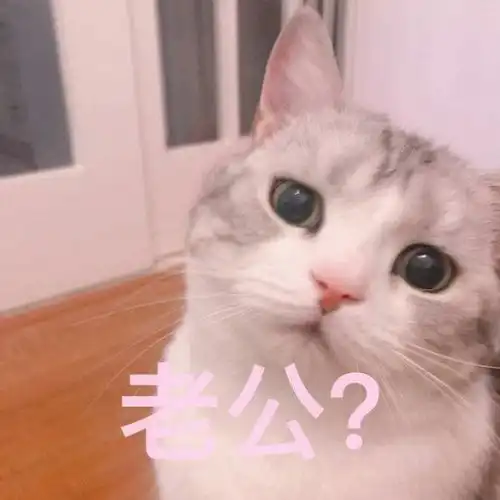 表情包猫猫表情委屈到自闭

