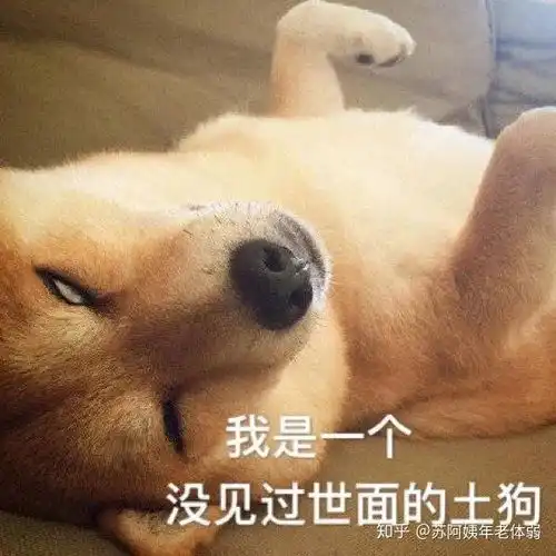 如何加入网络字幕组
