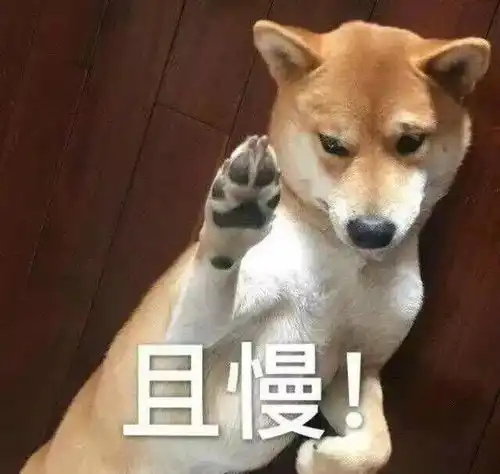 各种逗比表情包观乎天地间,弱智之极,非阁下莫属
