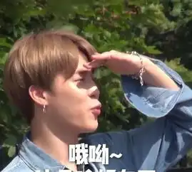 表情包生产大户防弹少年团让你笑到吐血的表情包合集二持更
