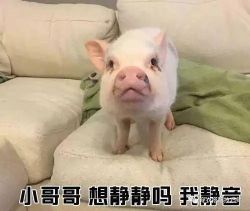 教你如何一句话搭讪好看的小哥哥
