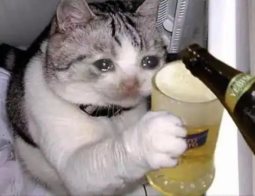 悲伤猫猫头表情包
