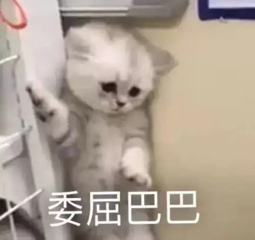 和有趣的人谈恋爱是什么感觉

