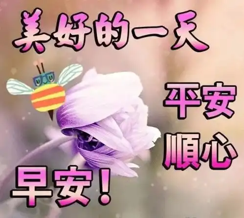 5月3日最新早晨好问候祝福动态表情图片,微信很赞的早上动画图片
