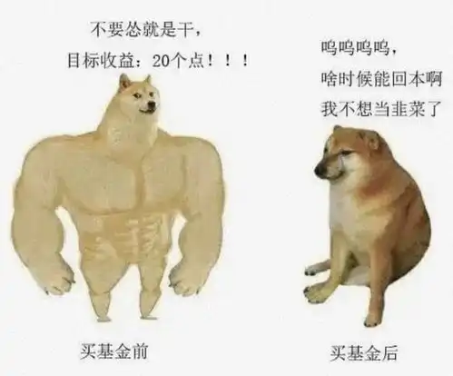 基金收评遭不住了,我已经快亏懵了
