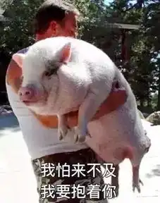 黄江遇上超冷春节,最低气温2真相在这里
