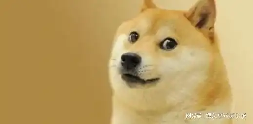 知名表情包睿智傻狗柴犬doge离世
