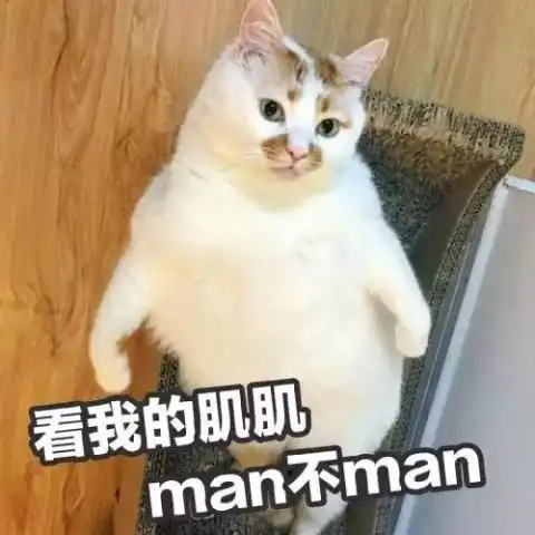 猫咪也会抑郁症它们有可能把自己舔秃
