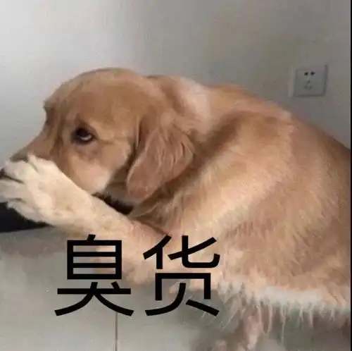 表情包丨你能拿我怎样
