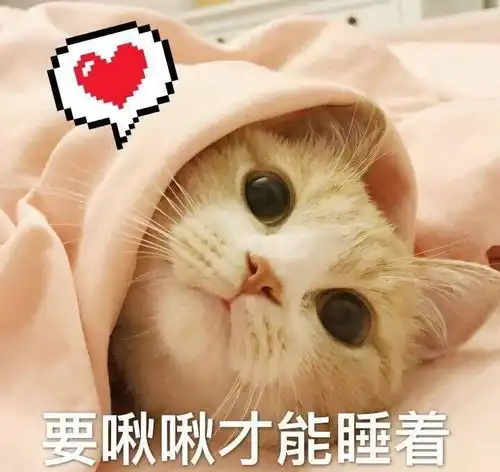 不想穿成小可爱这些小个子潮牌你一定要知道,要轻熟要优雅选它们准没错
