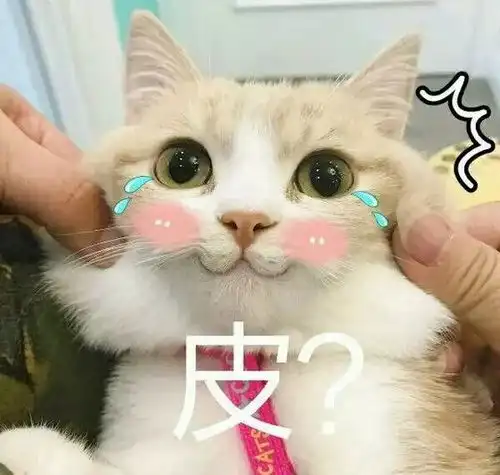 点解广东人结婚戴甘多金仲要送鸡跳床系新房搞搞震
