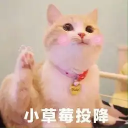 发完这篇我怕是要转行了,朋友圈灵魂画手准备颤抖吧
