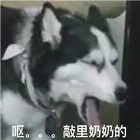 敲里吗表情包搞笑带字敲里lailai卖萌骂人表情包
