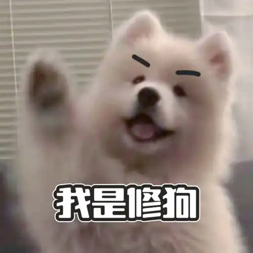 视频里常用的表情包分享
