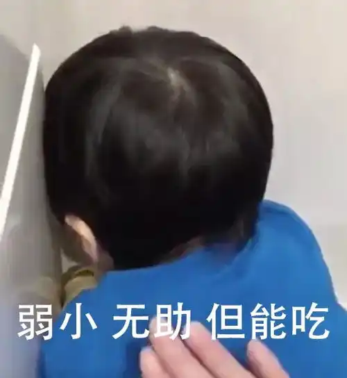 为什么越来越多的人放弃了减肥
