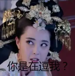 艾可专做表情包三百年李世民

