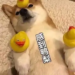 昌航这么假我不信
