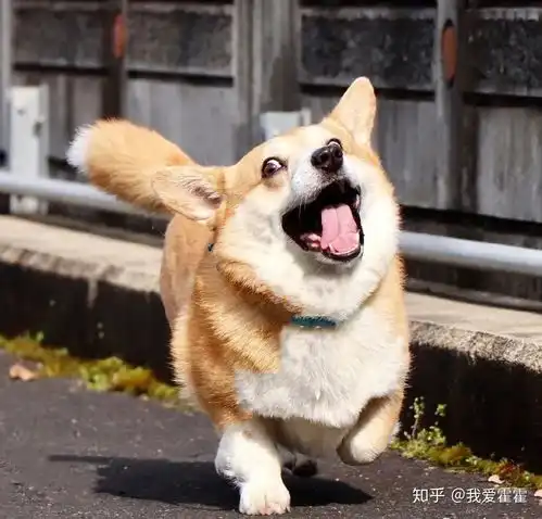 情侣之间甜甜的情话2
