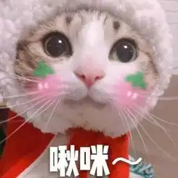 可爱猫咪的表情包我的悲伤大概有这么大
