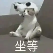 阵雨雷雨舟山未来7天全是雨雨雨雨周末可能又有台风

