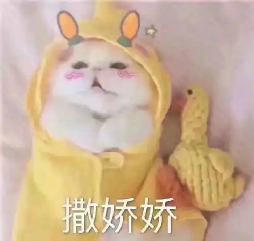 可爱表情包图片直男直女,有对象了不起啊
