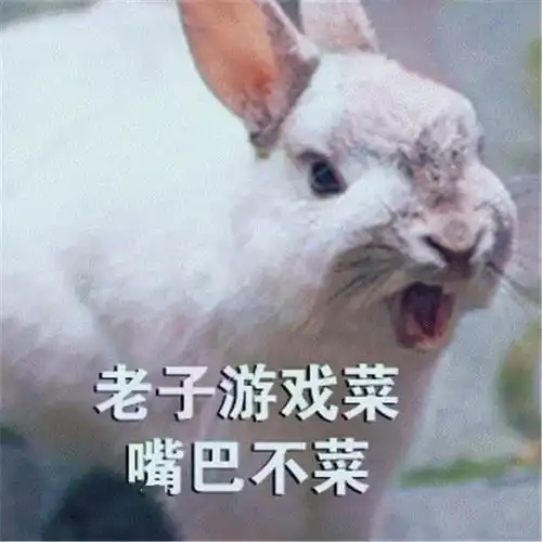 天津相声广播美杜莎的中年烦恼
