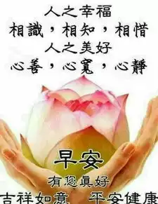 最棒早安问候祝福语动画表情动态图片,温馨早安问候语图片
