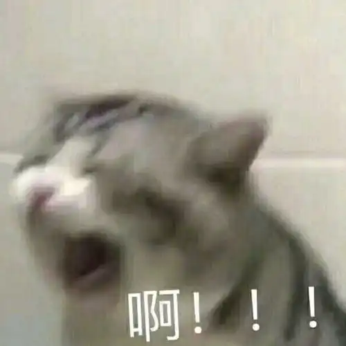 阿米之家旅行篇之房间分配
