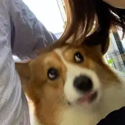 无聊图热榜
