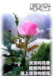 人生三得沉得住气弯得下腰抬得起头,早上好

