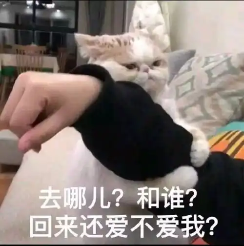 如何评价天蝎座
