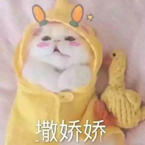 倒计时1天亚展明天开幕,快看这3条实用攻略
