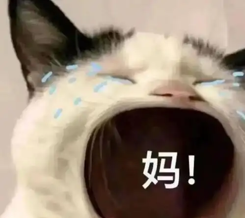 我烂脸了新年皮肤急救完整版

