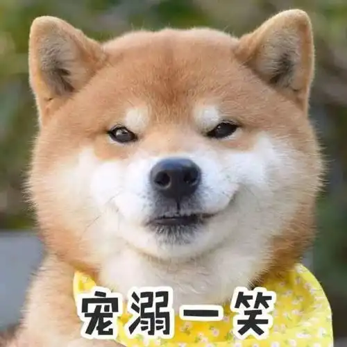 新年祝大家愿旺成真,十犬十美黄冈人拜年必备祝福语表情包,速速收藏
